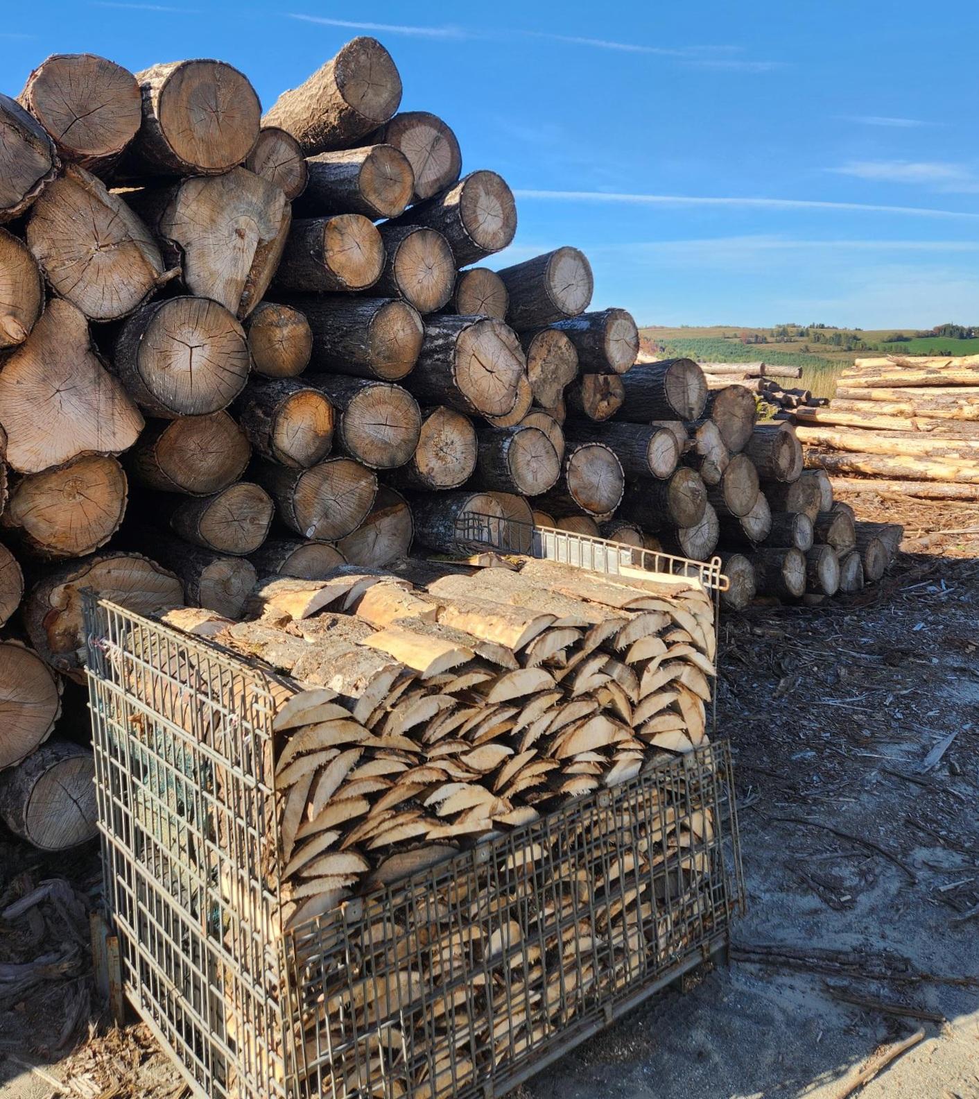 1x Corde de bois de chauffage livrée en sacs