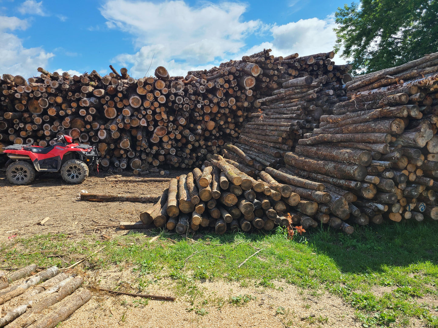 1x Corde de bois