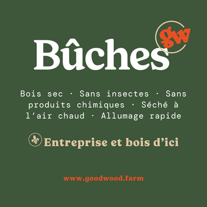 1x Corde de bois